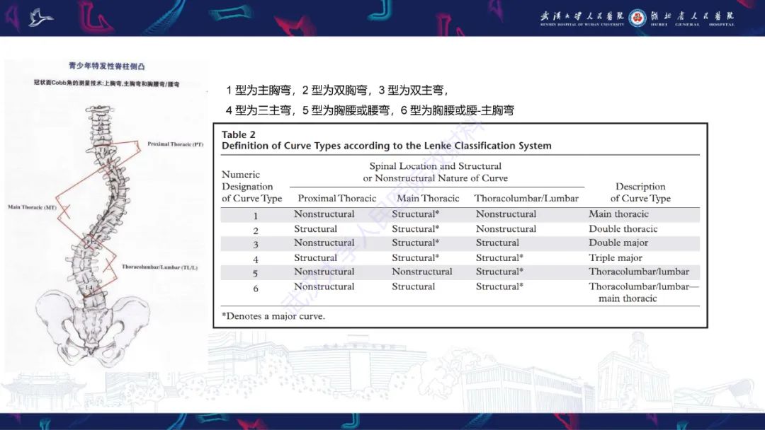 影像PPT - 【PPT】脊柱侧弯影像学评估-32