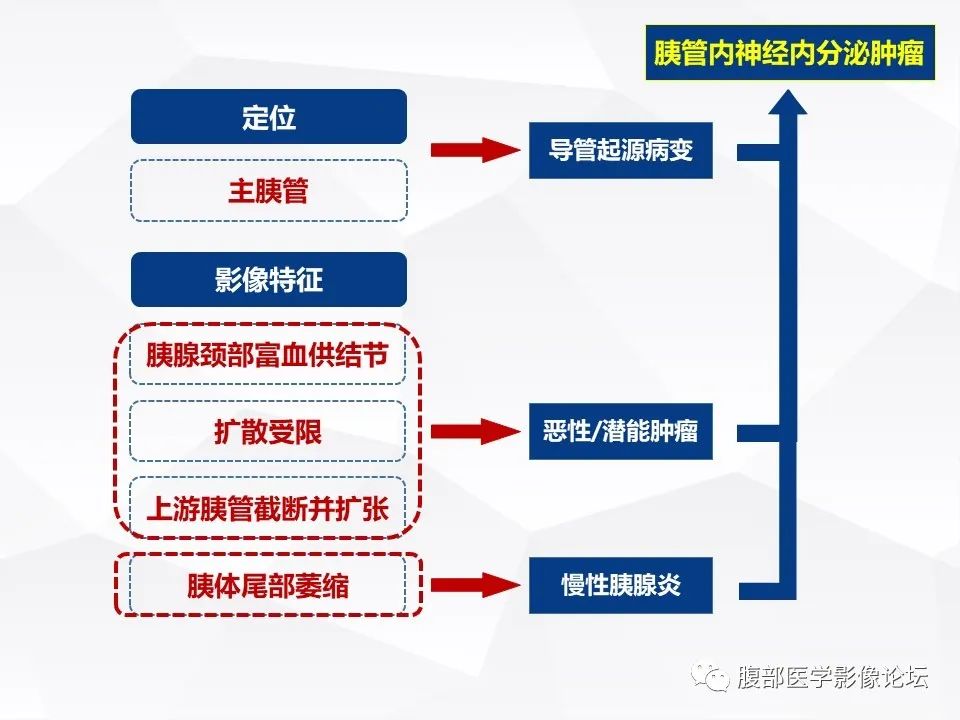 影像PPT - 【病例】胰腺导管内神经内分泌肿瘤1例CT及MR-22