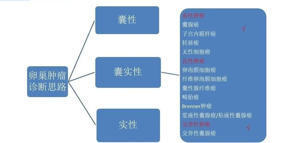 影像PPT - 【病例】卵巢交界性乳头状囊腺瘤1例CT及MR-11 影像PPT - 【病例】卵巢交界性乳头状囊腺瘤1例CT及MR-11