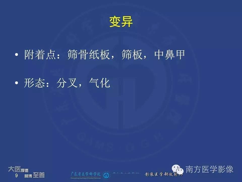 影像PPT - 【PPT】钩突（Uncinate process）解剖及变异-9