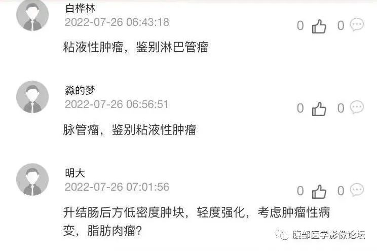 影像PPT - 【病例】良性多囊性腹膜间皮瘤1例CT影像-8