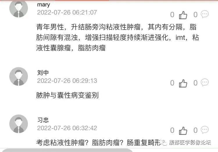 影像PPT - 【病例】良性多囊性腹膜间皮瘤1例CT影像-10