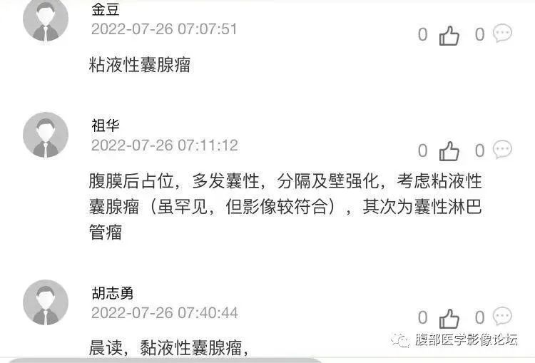 影像PPT - 【病例】良性多囊性腹膜间皮瘤1例CT影像-11