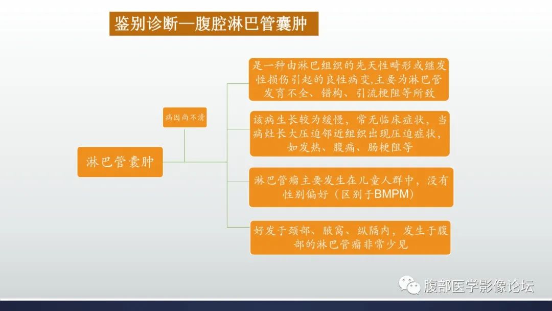 影像PPT - 【病例】良性多囊性腹膜间皮瘤1例CT影像-30