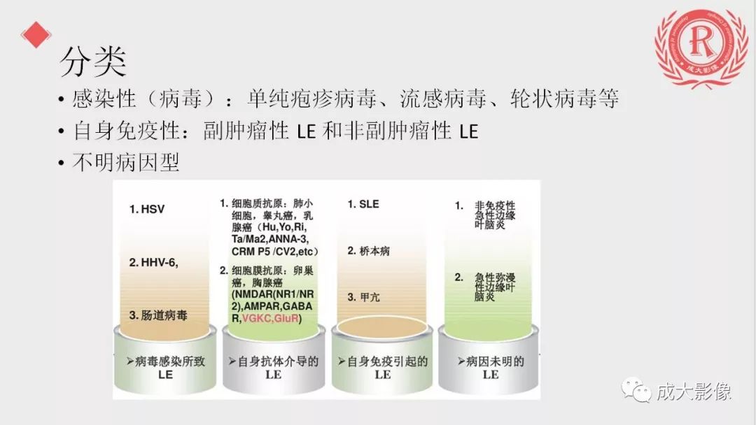 影像PPT - 【PPT】边缘叶脑炎-10