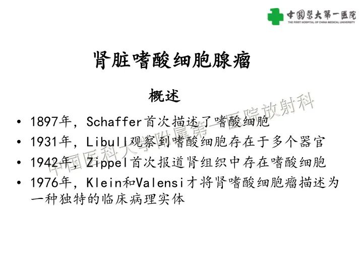 影像PPT - 【病例】肾脏嗜酸细胞腺瘤1例CT影像-10