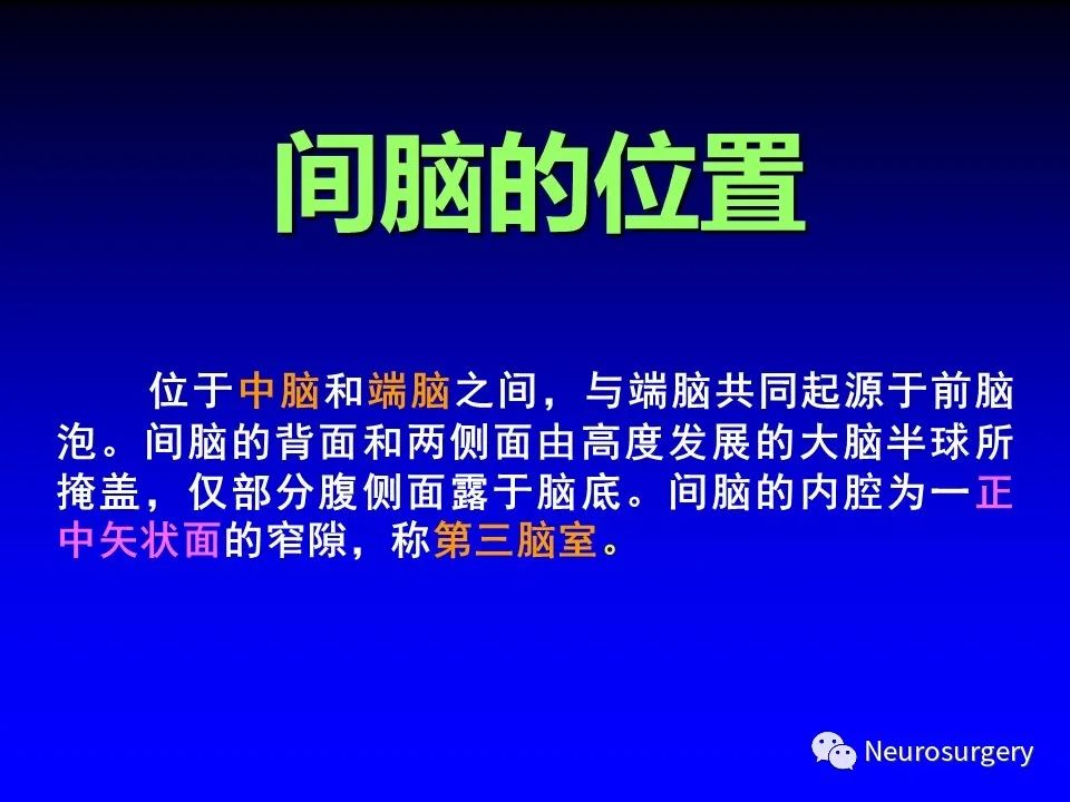 影像PPT - 【PPT】中枢神经系统 间脑-2