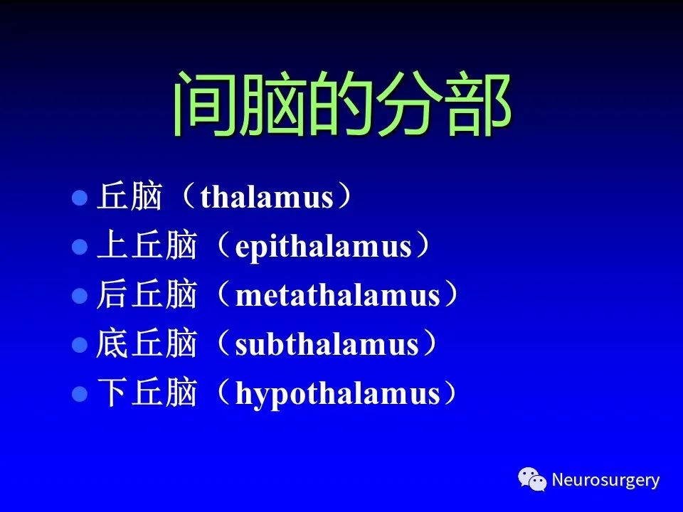 影像PPT - 【PPT】中枢神经系统 间脑-5