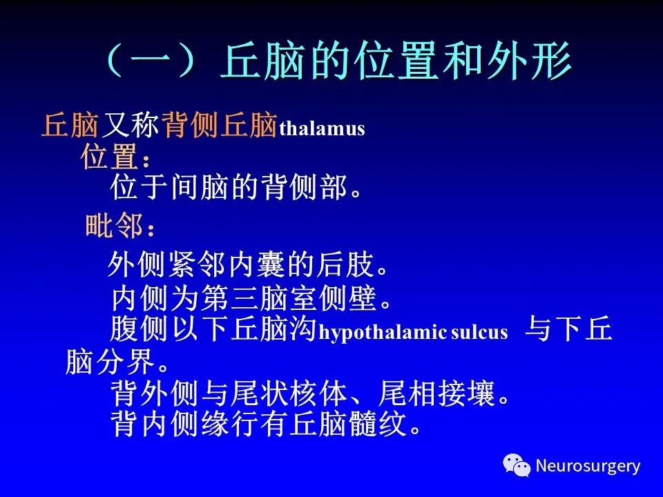 影像PPT - 【PPT】中枢神经系统 间脑-7