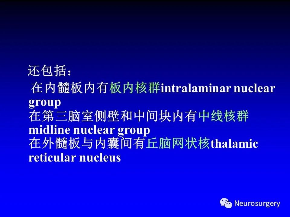 影像PPT - 【PPT】中枢神经系统 间脑-12