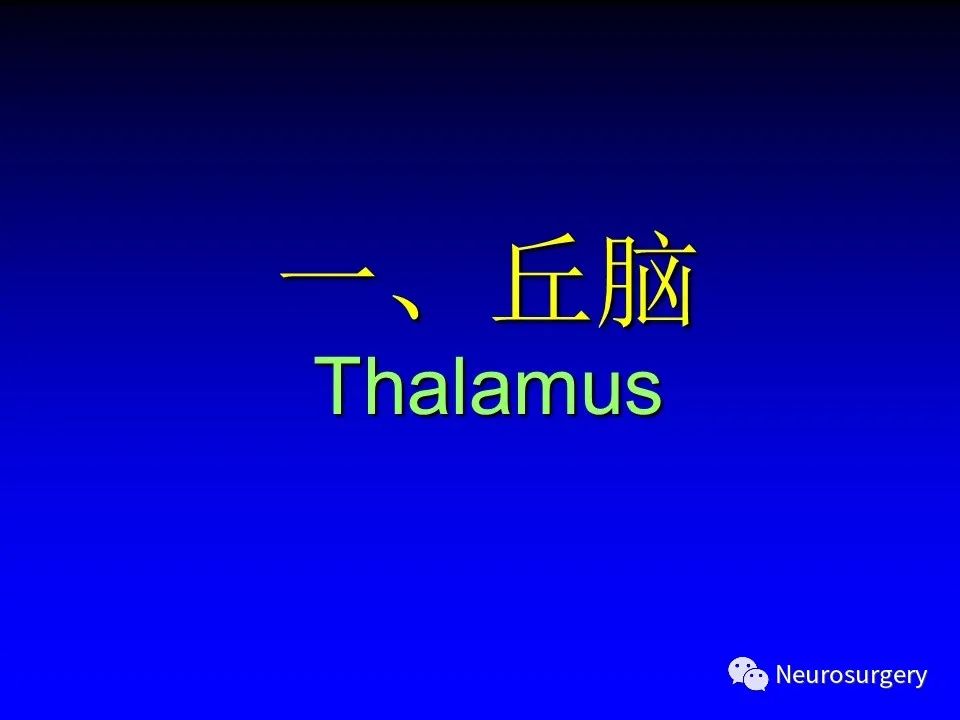 影像PPT - 【PPT】中枢神经系统 间脑-6