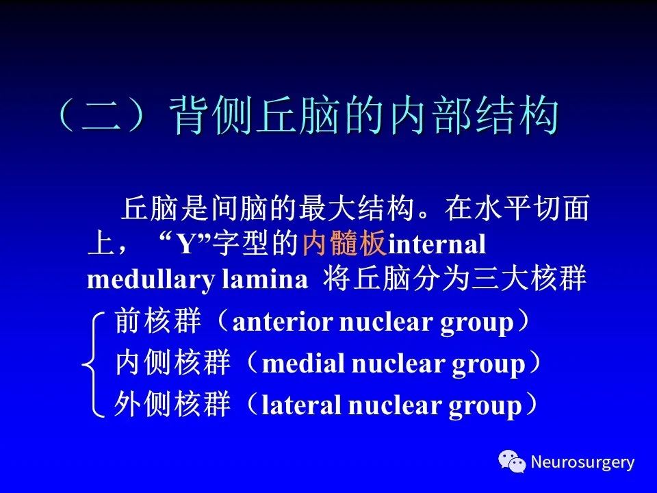影像PPT - 【PPT】中枢神经系统 间脑-10