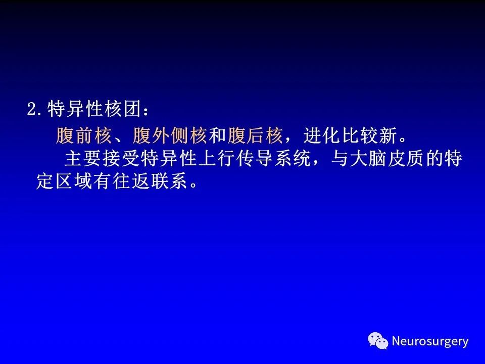 影像PPT - 【PPT】中枢神经系统 间脑-15