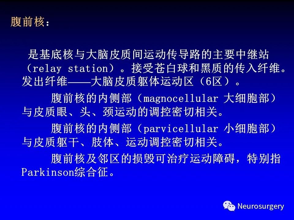 影像PPT - 【PPT】中枢神经系统 间脑-16
