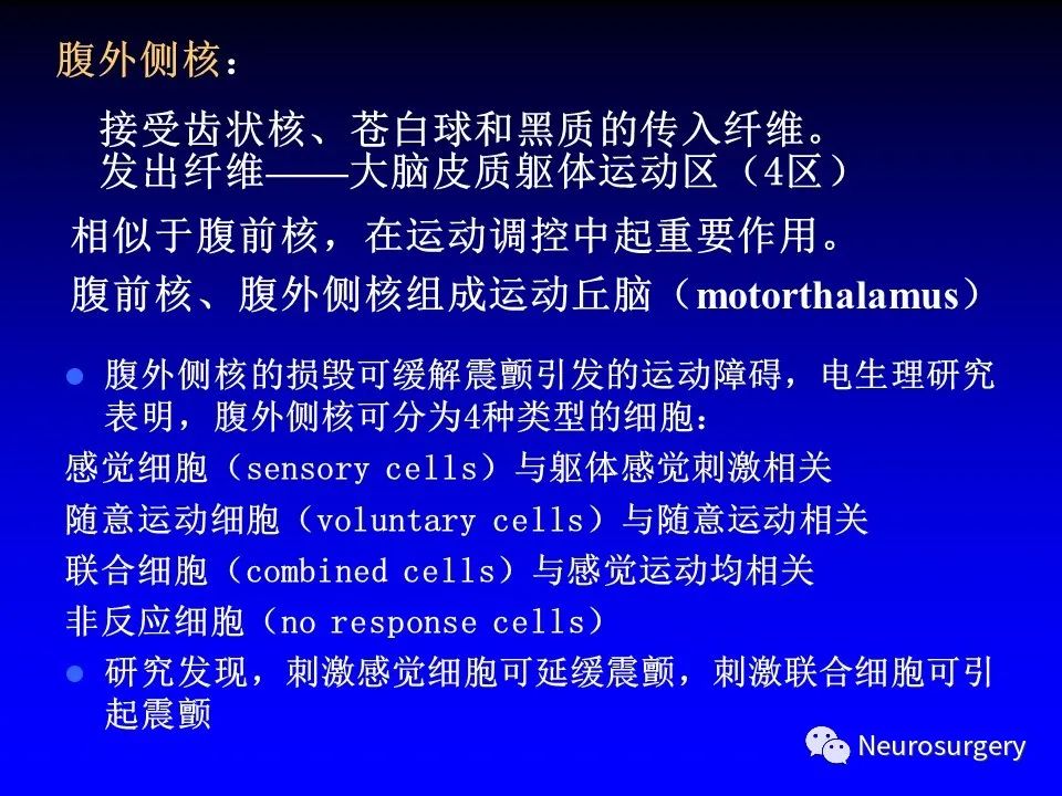 影像PPT - 【PPT】中枢神经系统 间脑-17