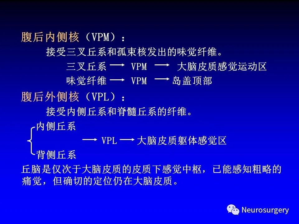 影像PPT - 【PPT】中枢神经系统 间脑-18