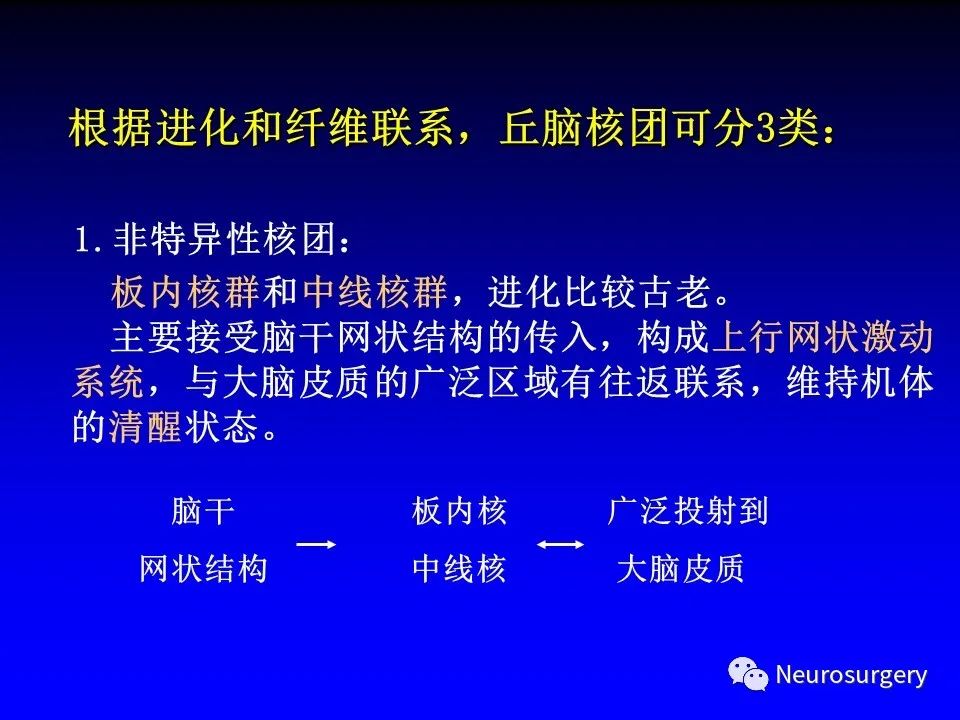 影像PPT - 【PPT】中枢神经系统 间脑-14