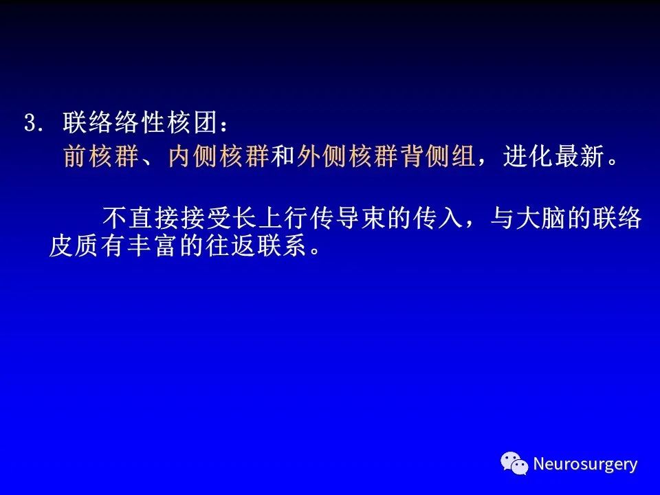 影像PPT - 【PPT】中枢神经系统 间脑-19