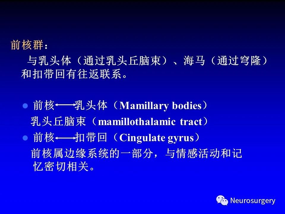 影像PPT - 【PPT】中枢神经系统 间脑-20