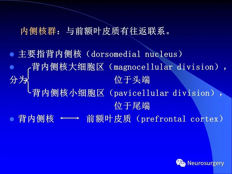 影像PPT - 【PPT】中枢神经系统 间脑-21