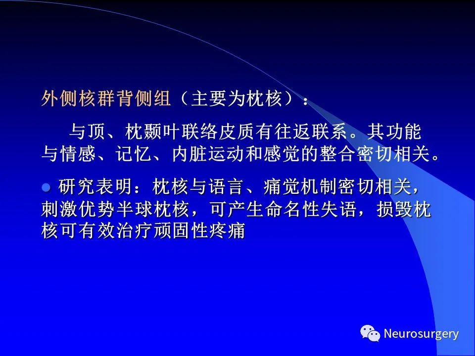 影像PPT - 【PPT】中枢神经系统 间脑-22