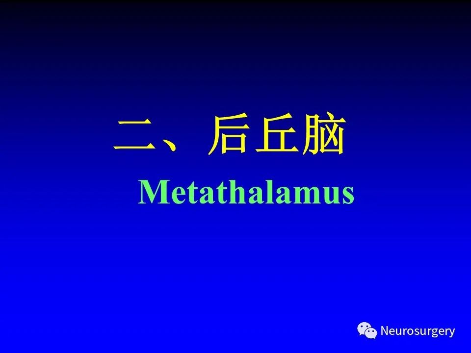 影像PPT - 【PPT】中枢神经系统 间脑-23