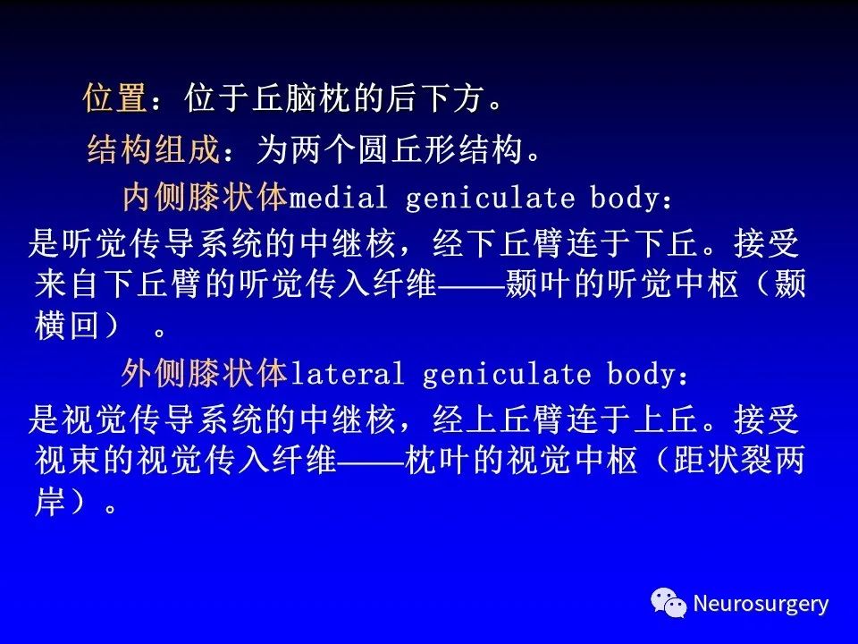 影像PPT - 【PPT】中枢神经系统 间脑-24