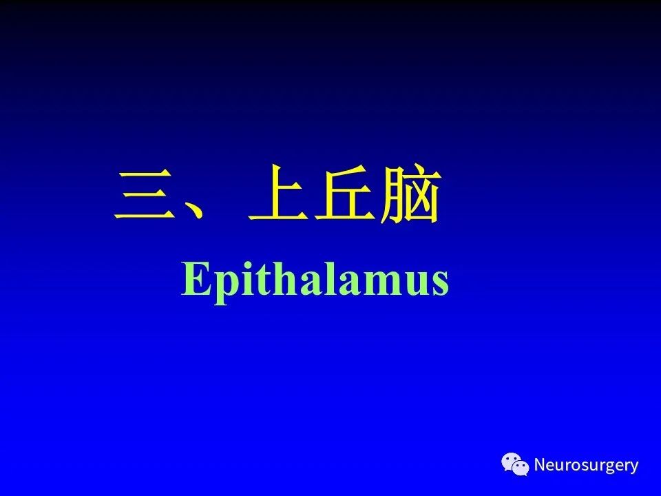 影像PPT - 【PPT】中枢神经系统 间脑-27