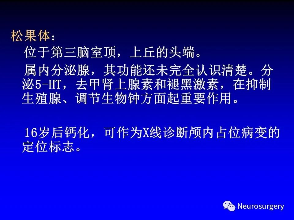 影像PPT - 【PPT】中枢神经系统 间脑-31