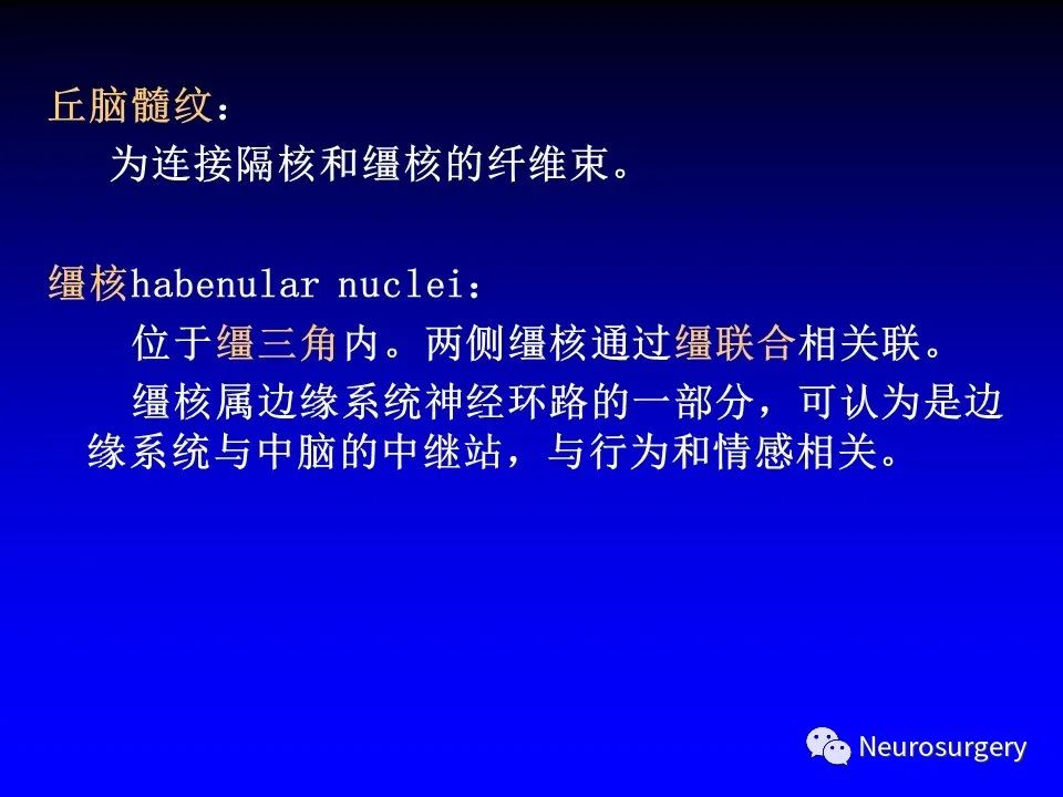 影像PPT - 【PPT】中枢神经系统 间脑-29