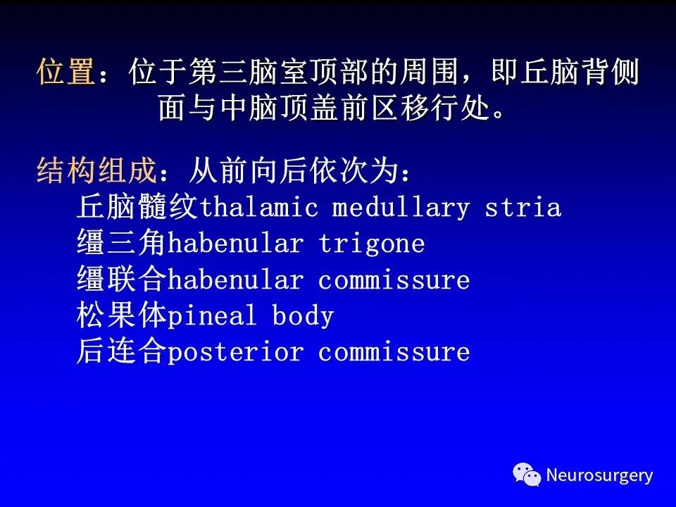 影像PPT - 【PPT】中枢神经系统 间脑-28