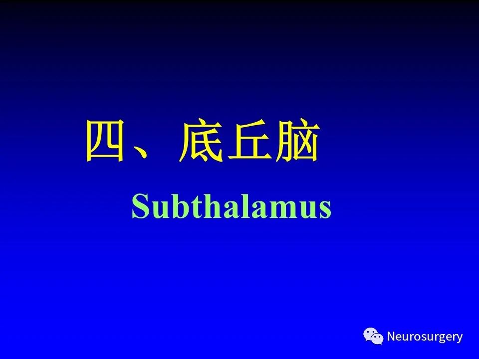 影像PPT - 【PPT】中枢神经系统 间脑-33