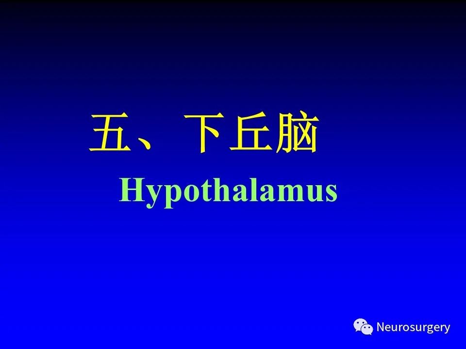影像PPT - 【PPT】中枢神经系统 间脑-37