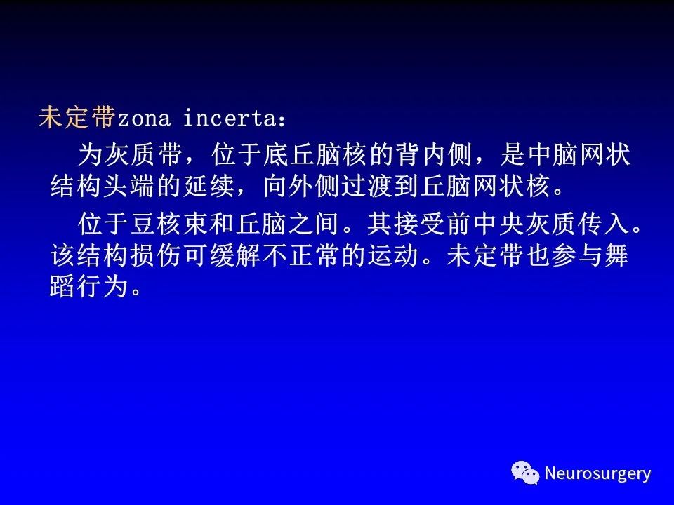 影像PPT - 【PPT】中枢神经系统 间脑-36