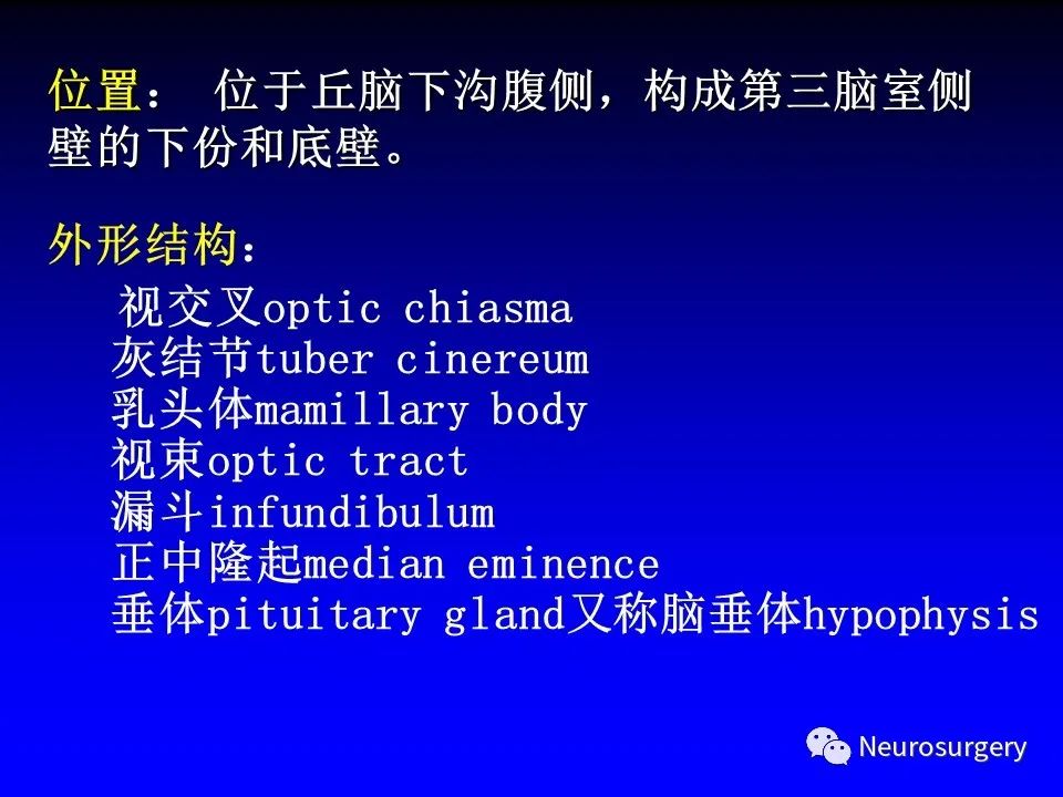 影像PPT - 【PPT】中枢神经系统 间脑-38