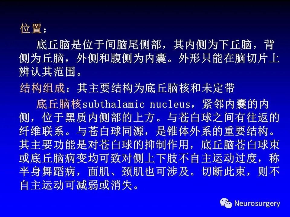 影像PPT - 【PPT】中枢神经系统 间脑-34