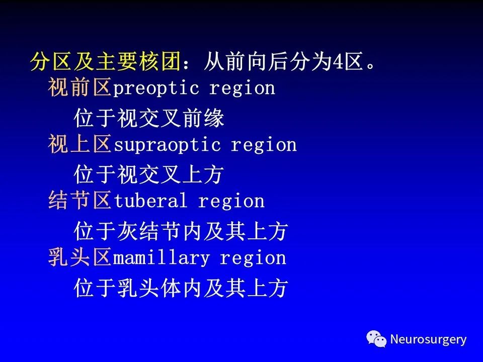 影像PPT - 【PPT】中枢神经系统 间脑-41