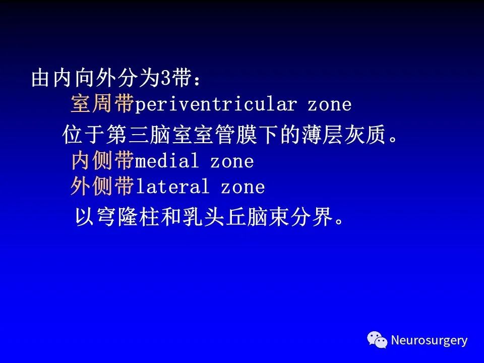 影像PPT - 【PPT】中枢神经系统 间脑-43