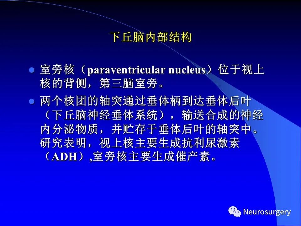 影像PPT - 【PPT】中枢神经系统 间脑-48