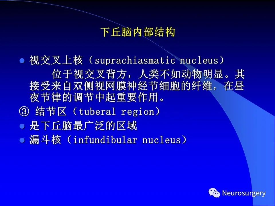 影像PPT - 【PPT】中枢神经系统 间脑-49