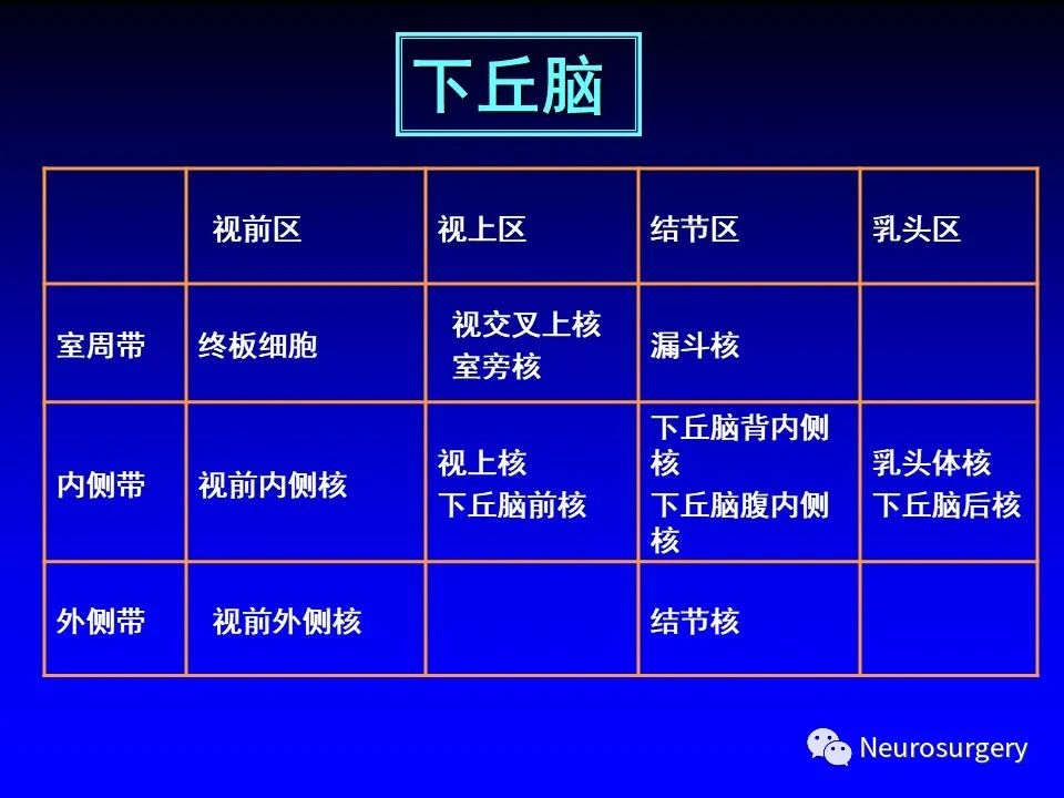 影像PPT - 【PPT】中枢神经系统 间脑-45