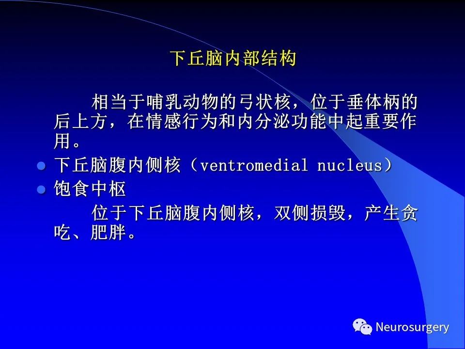 影像PPT - 【PPT】中枢神经系统 间脑-50