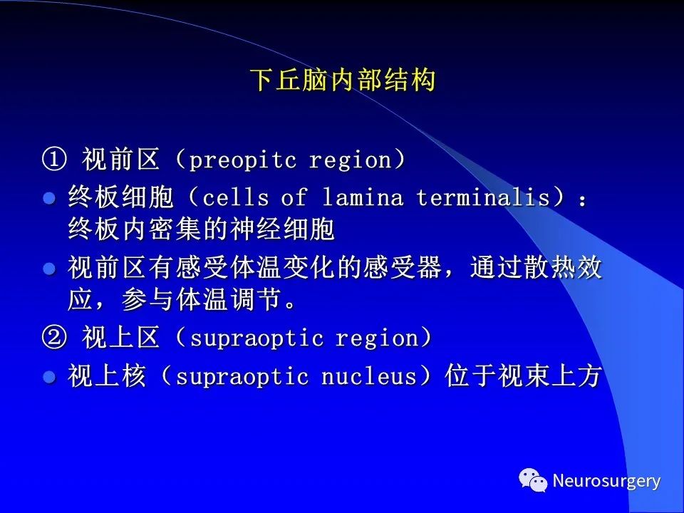 影像PPT - 【PPT】中枢神经系统 间脑-47