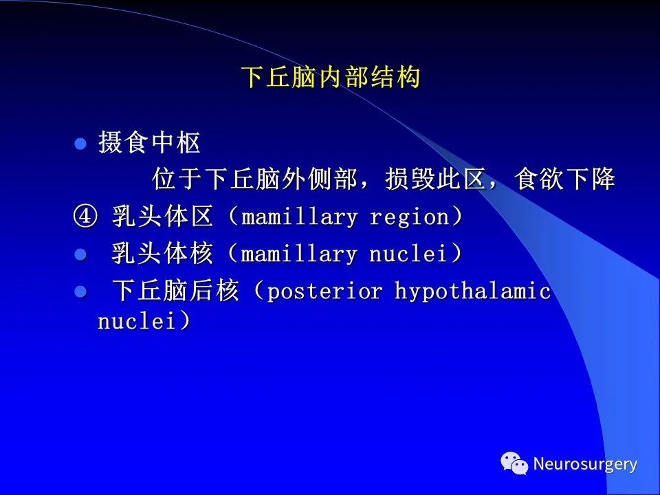 影像PPT - 【PPT】中枢神经系统 间脑-51
