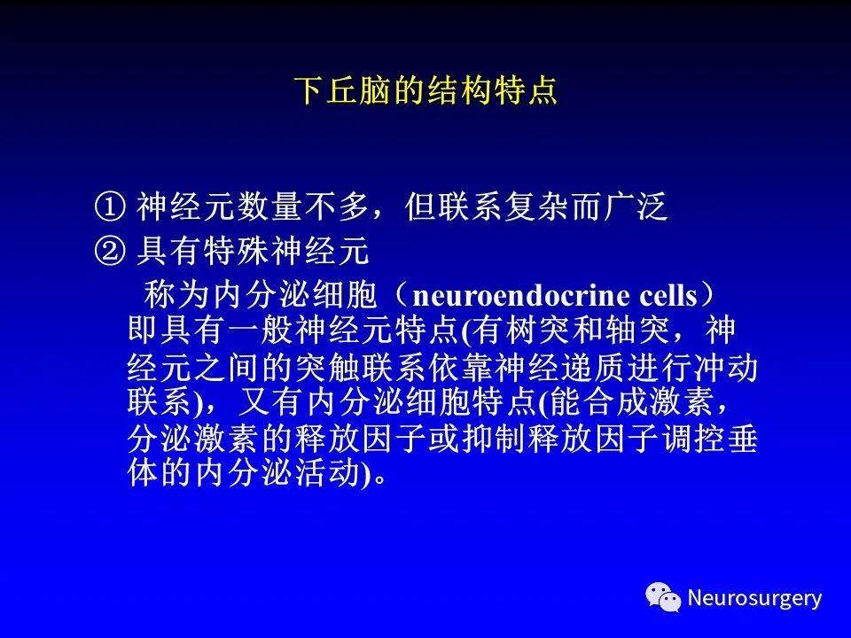 影像PPT - 【PPT】中枢神经系统 间脑-52