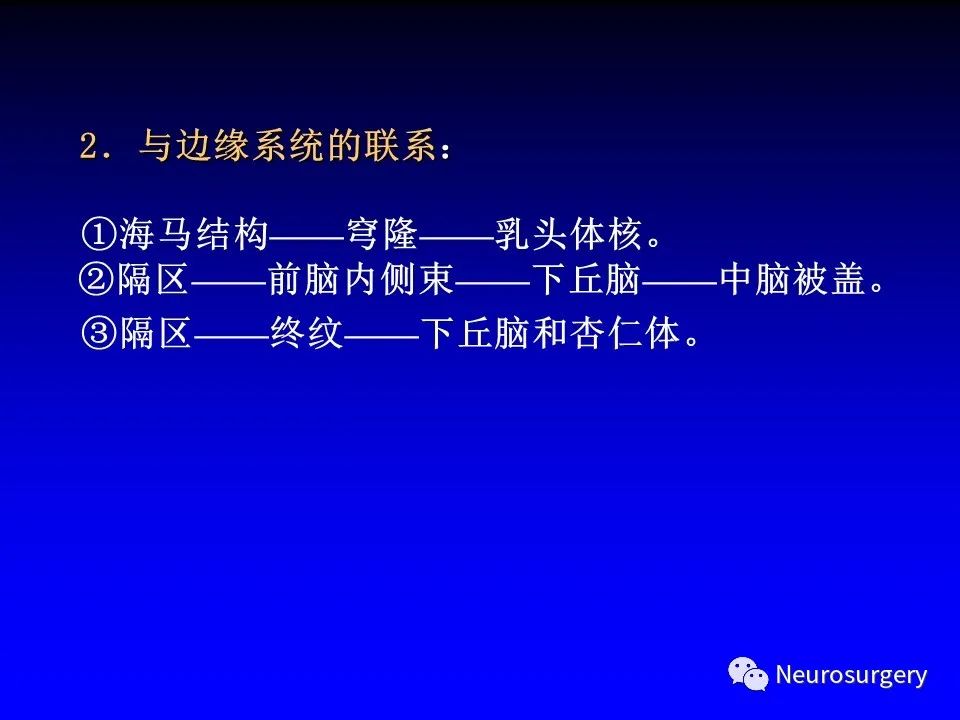 影像PPT - 【PPT】中枢神经系统 间脑-55