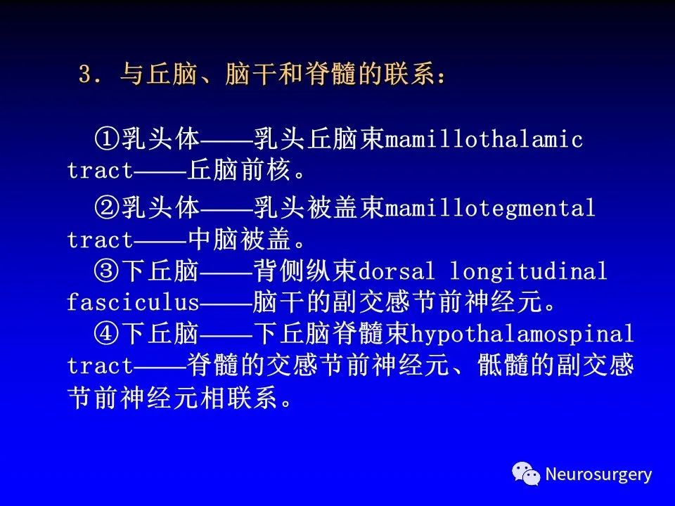影像PPT - 【PPT】中枢神经系统 间脑-56