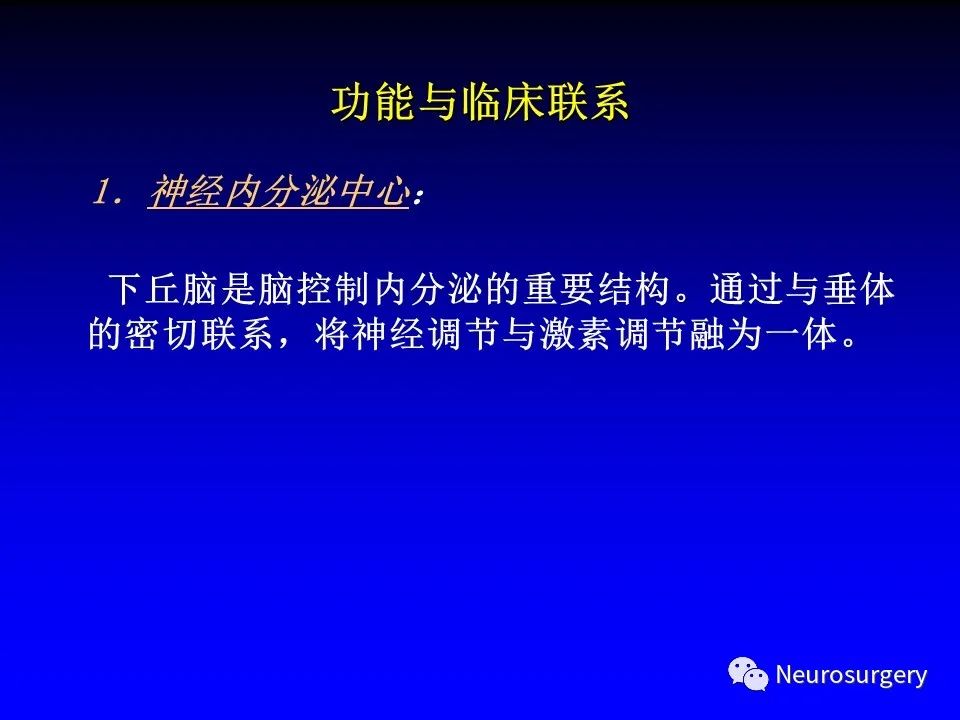 影像PPT - 【PPT】中枢神经系统 间脑-58