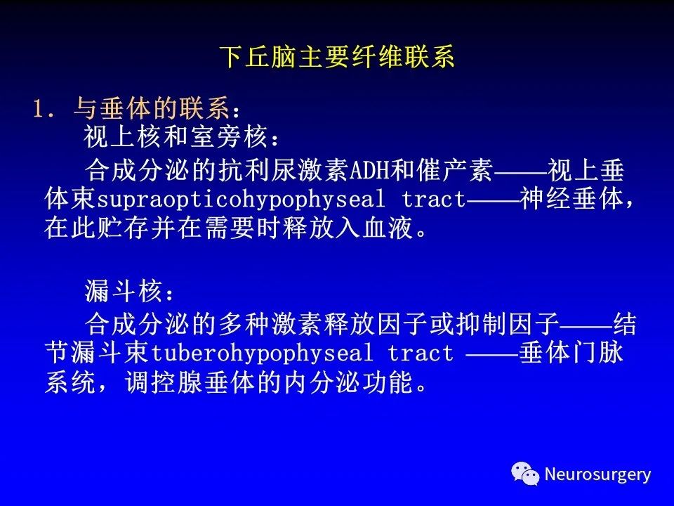 影像PPT - 【PPT】中枢神经系统 间脑-53