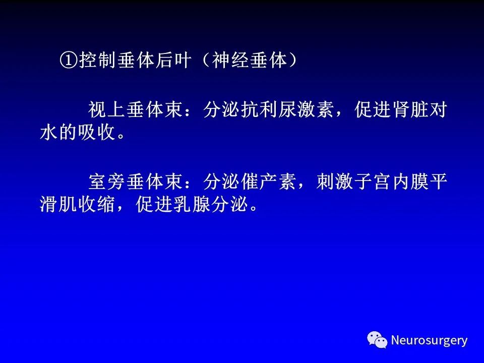 影像PPT - 【PPT】中枢神经系统 间脑-59